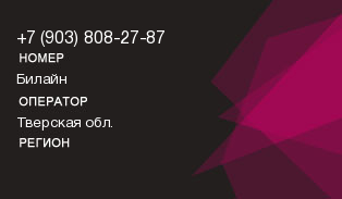 9038082787